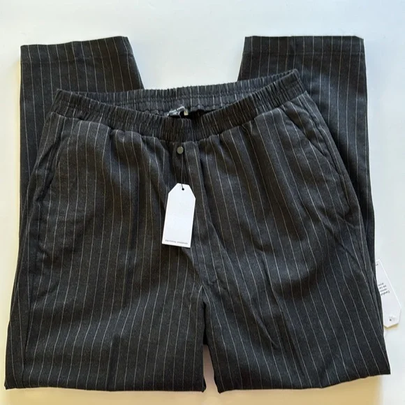 Universal Standard The Pinstripe Pants
